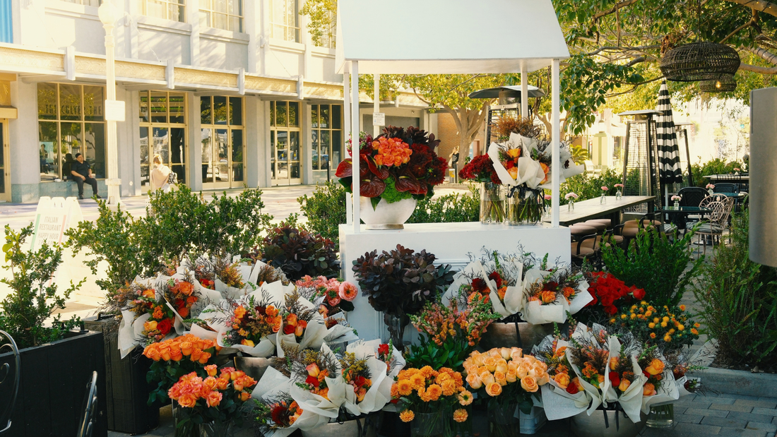 From Summer to Fall: Flowers That Make the Seasonal Transition Beautiful