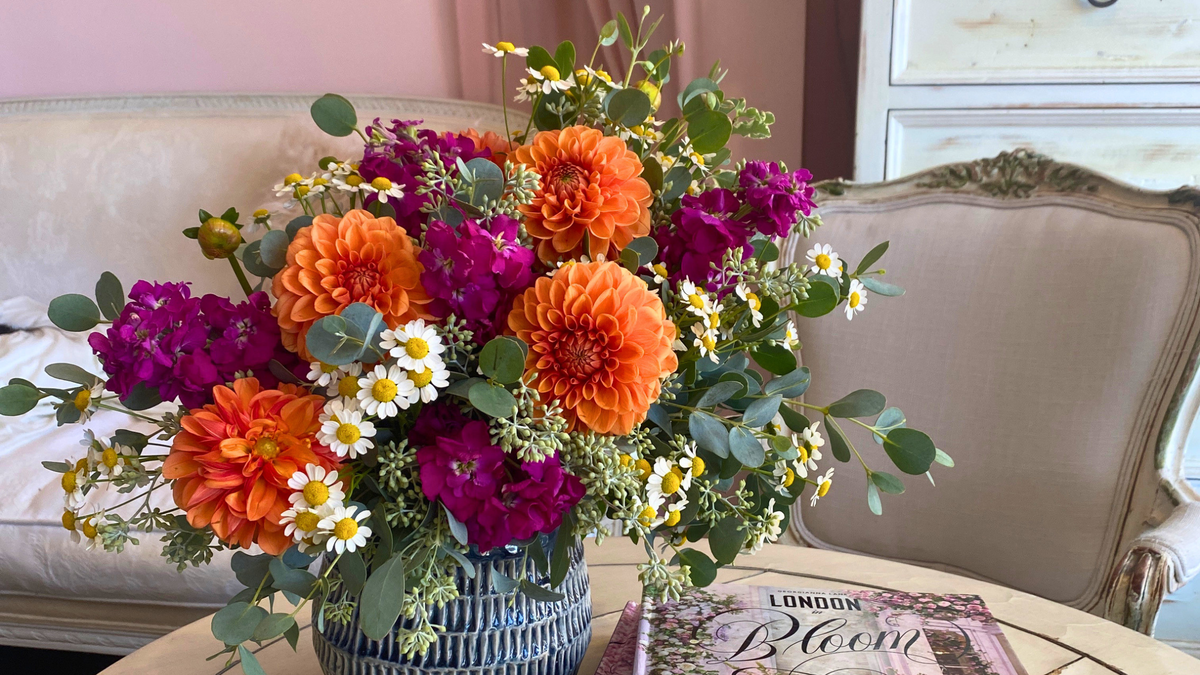 A colorful floral arrangement of bright orange dahlias and little white cosmos in a blue and white ceramic vase.