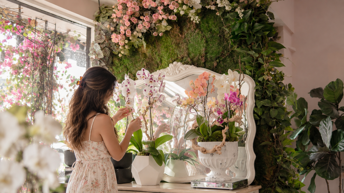 Woman in a floral dress looking after phalaenopsis orchids. A large mirror and dresser with orchid plant arrangements in peach, white, and magenta.
