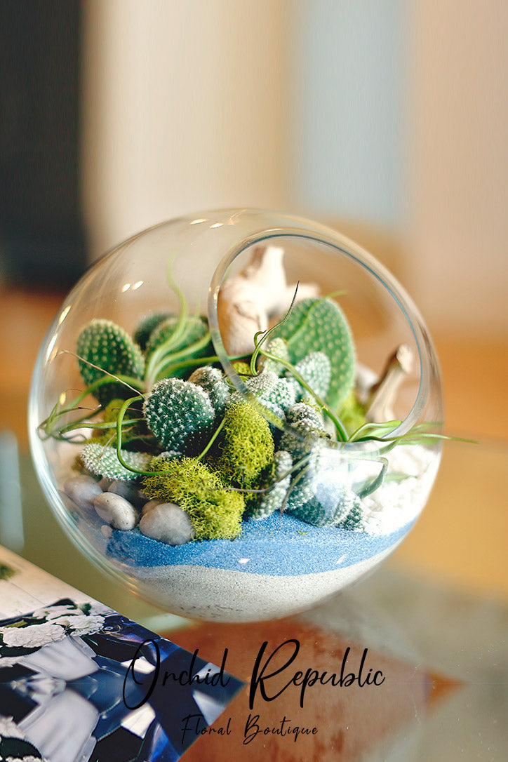 Mini cacti with green moss, beach stones and sand arranged in a spherical glass terrarium.