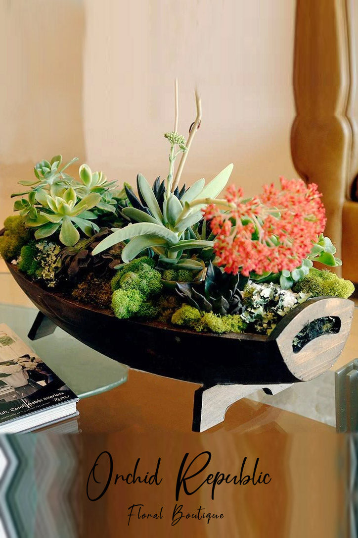 Mixed cacti and desert succulents arranged with stones and moss in a long wooden boat planter.