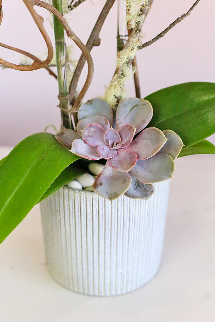 Decorative planter with orchid leaves, succulents, curly willow and natural stones