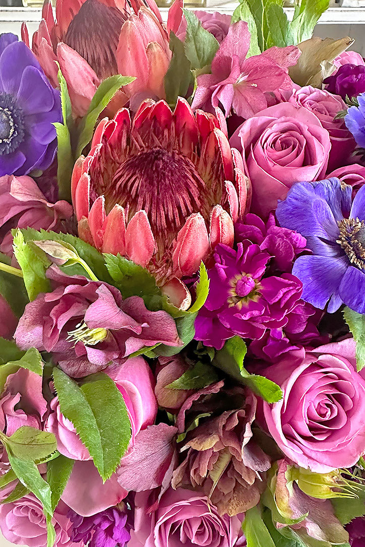 Close-up of deep mauve roses, protea, purple hellebores and anemones