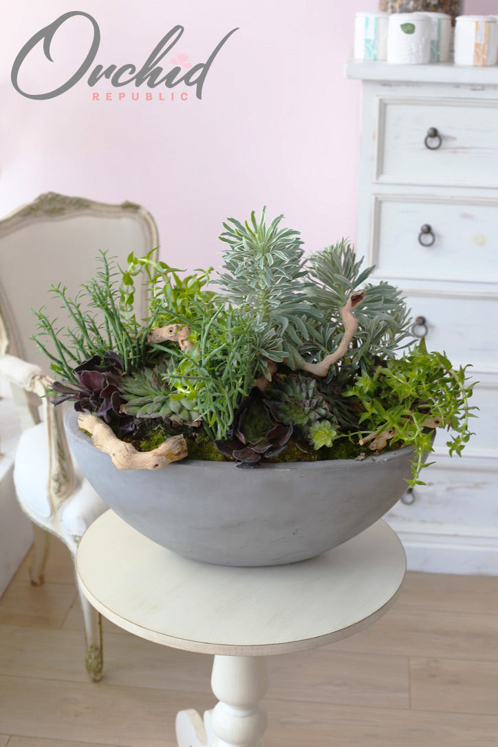 Assorted green succulents with moss and sculptural branches in a large elegant gray planter.