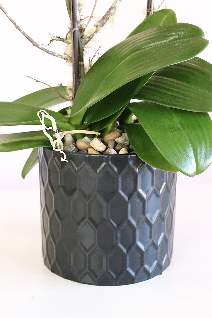 Glossy black vase with natural stones, orchid leaves, midollino sticks and branches