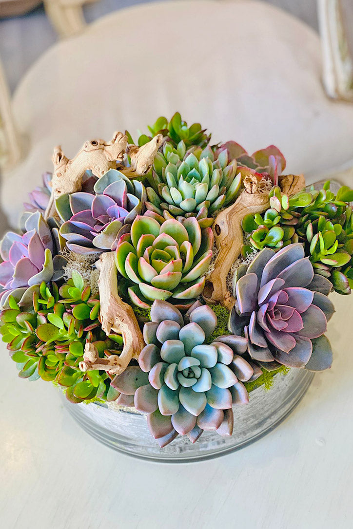 Top view of layered green and purple succulents, moss and natural wood in a round glass bowl.