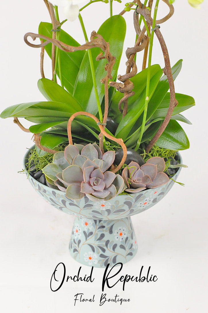Oriental-design ceramic vase with dark rosette succulents, orchid leaves and curly willow