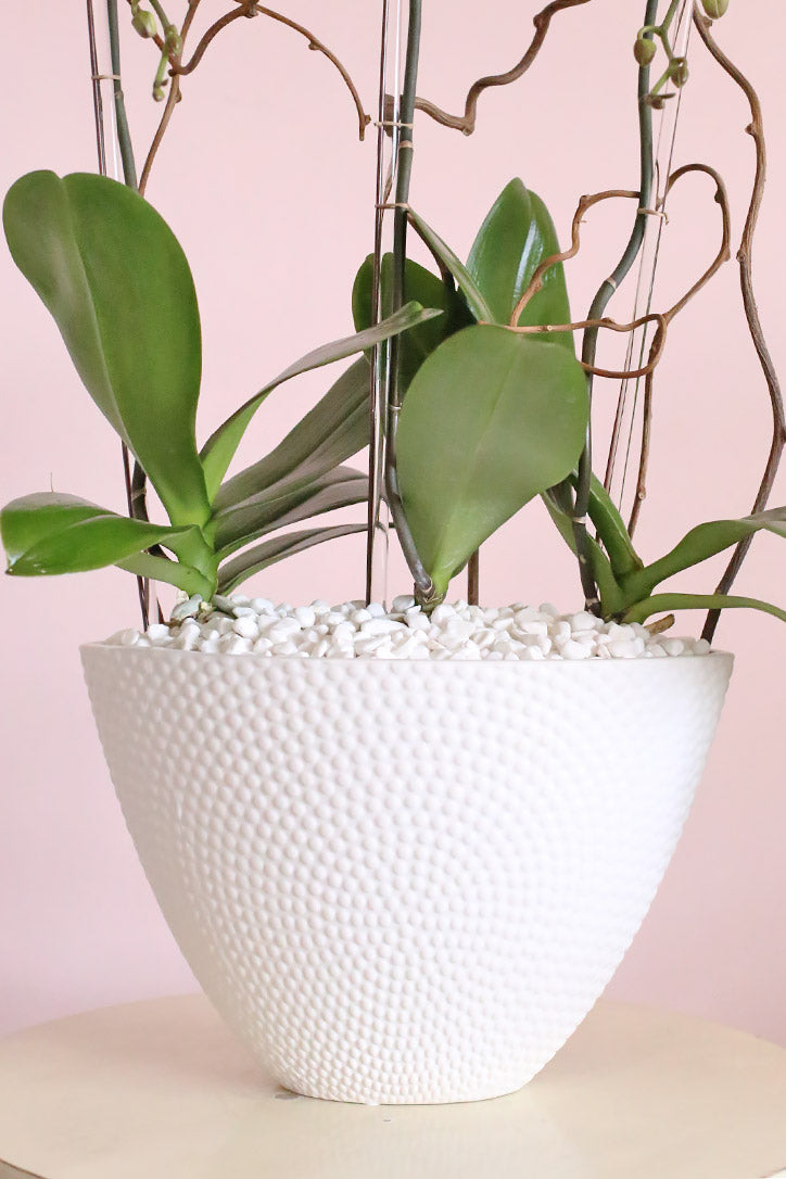 White ceramic vase with matching pebbles, orchid leaves and curly willow branches
