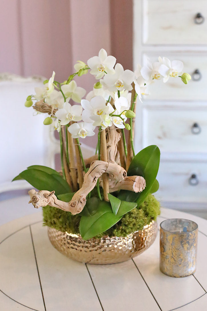 Double-stem white baby orchids with driftwood and moss in a textured gold planter