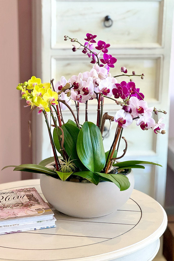 Hot pink, blush and orange Phalaenopsis orchids in a rustic stone vase with kiwi branches