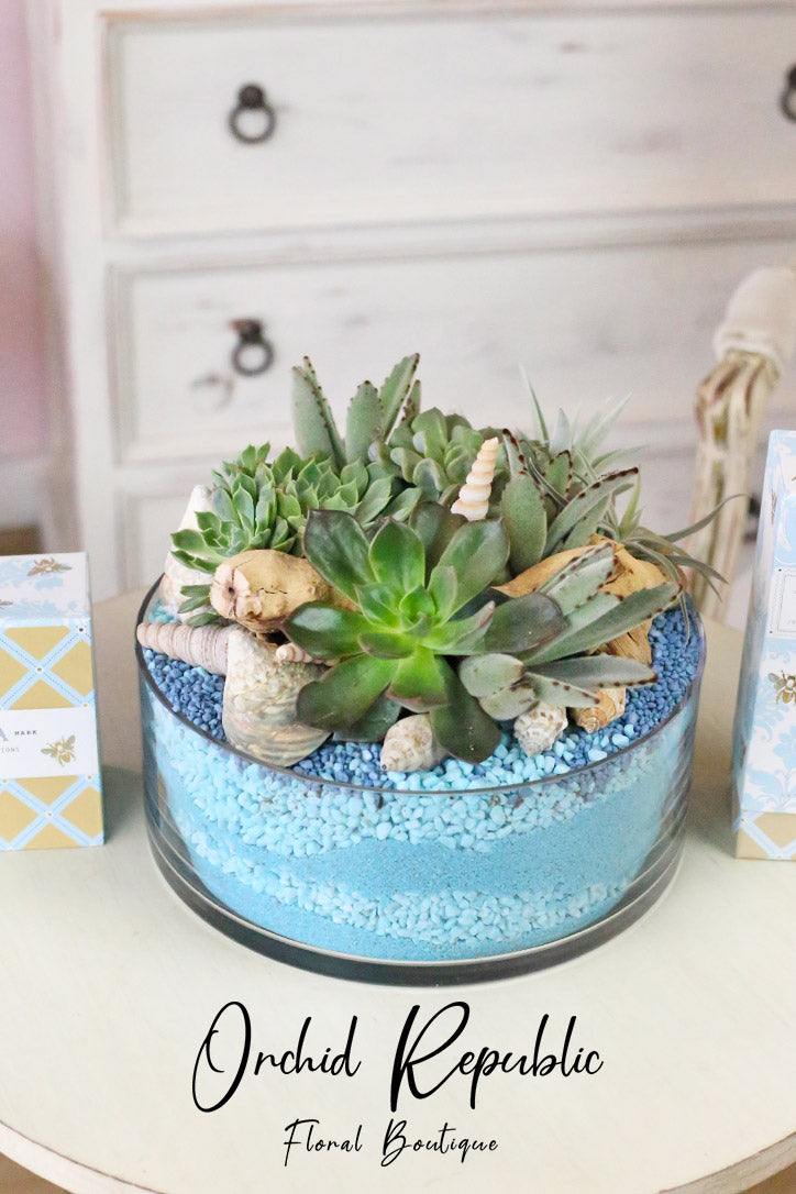 Green and gray succulents with air plants, blue pebbles and seashells in a clear glass cylinder.