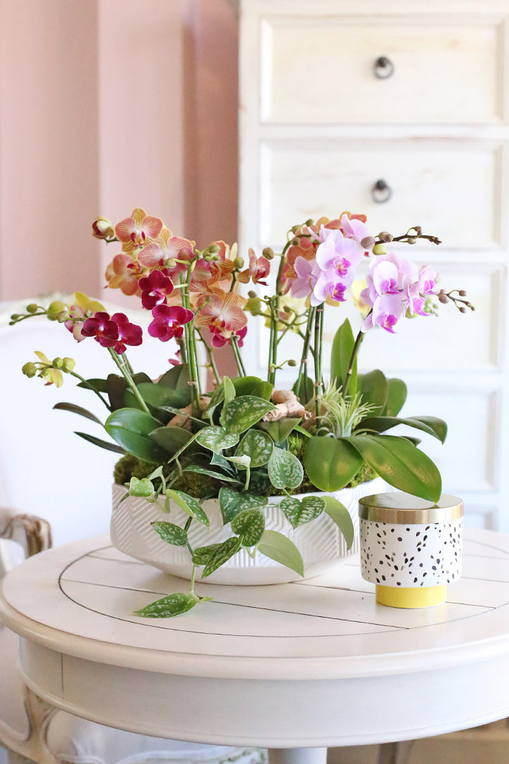 Pink, coral, yellow and magenta baby orchids in a white ceramic vase with driftwood and air plants