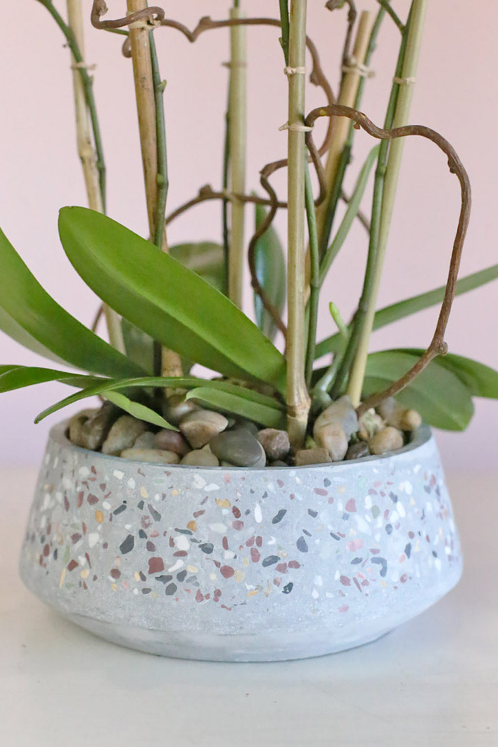 Dusty-blue ceramic planter with natural stones, orchid leaves and curly willow
