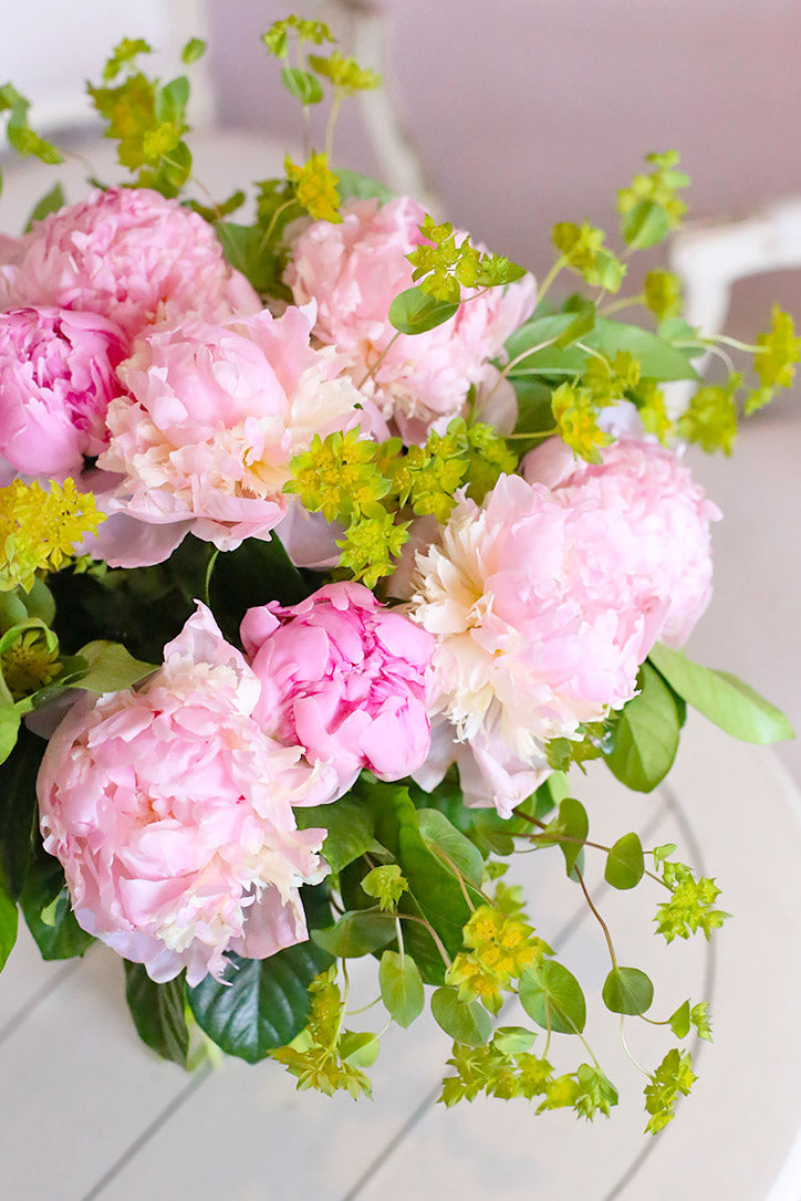 Close-up of voluminous pink peonies with soft ruffled petals