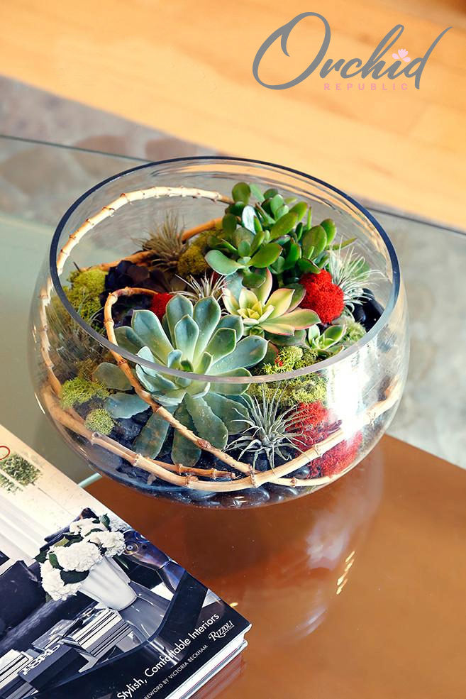Green, yellow and orange succulents with air plants and black river rocks in a round glass bowl.