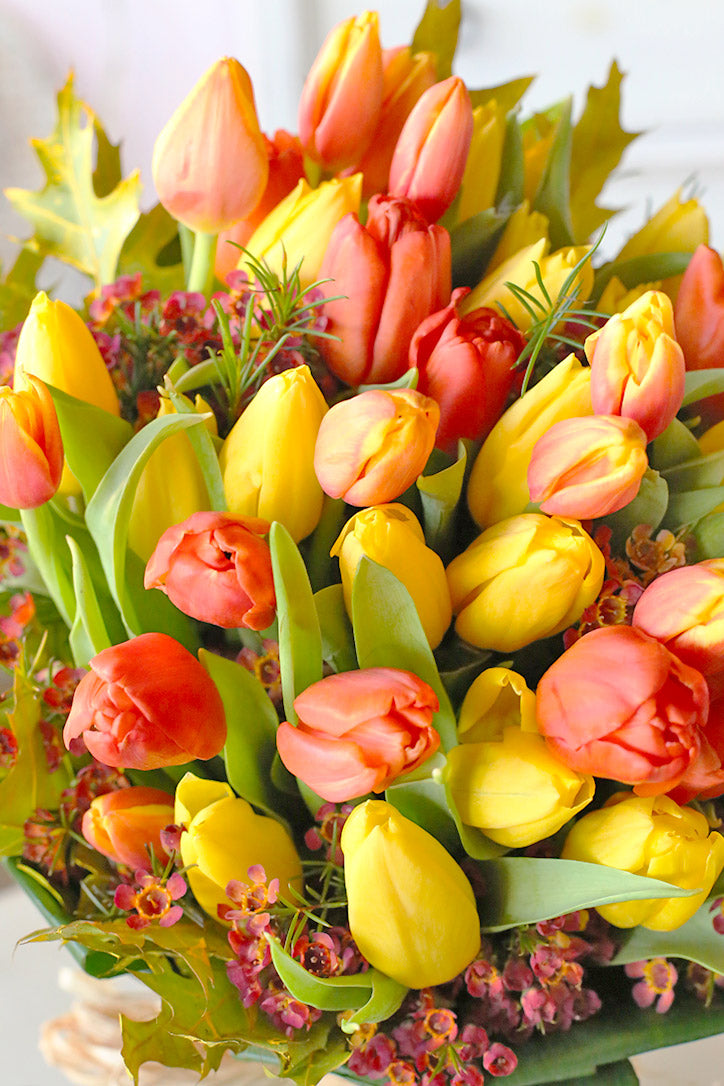 Close-up of warm yellow and fiery orange tulips with pink waxflower