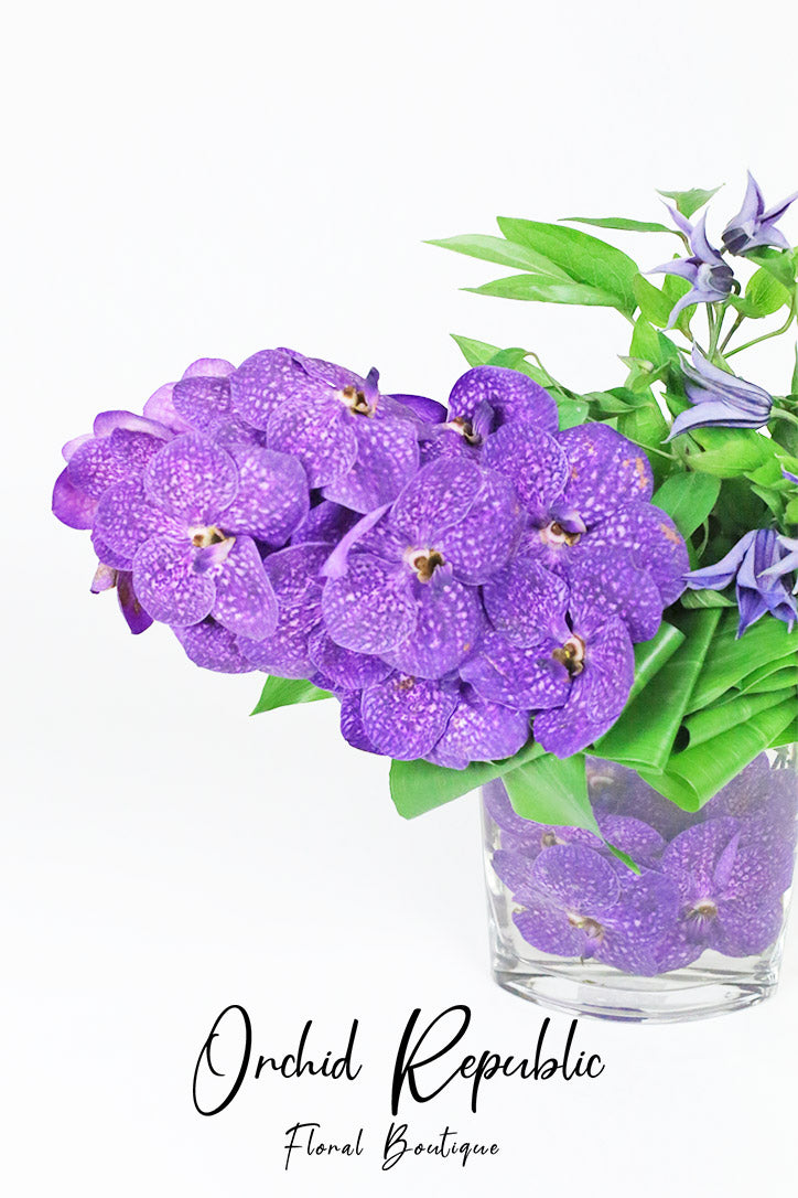 Close-up of large purple Vanda orchid blooms and delicate clematis flowers