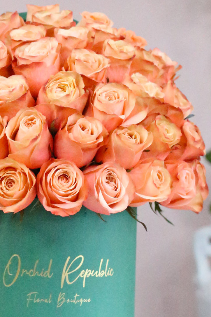 Close-up of delicate peach Country Home roses with layered garden-style petals