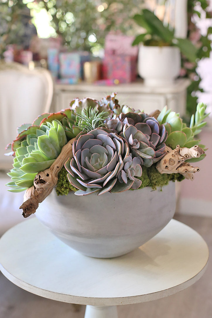 Green and purple rosette succulents with moss and decorative wood in a round gray ceramic bowl.