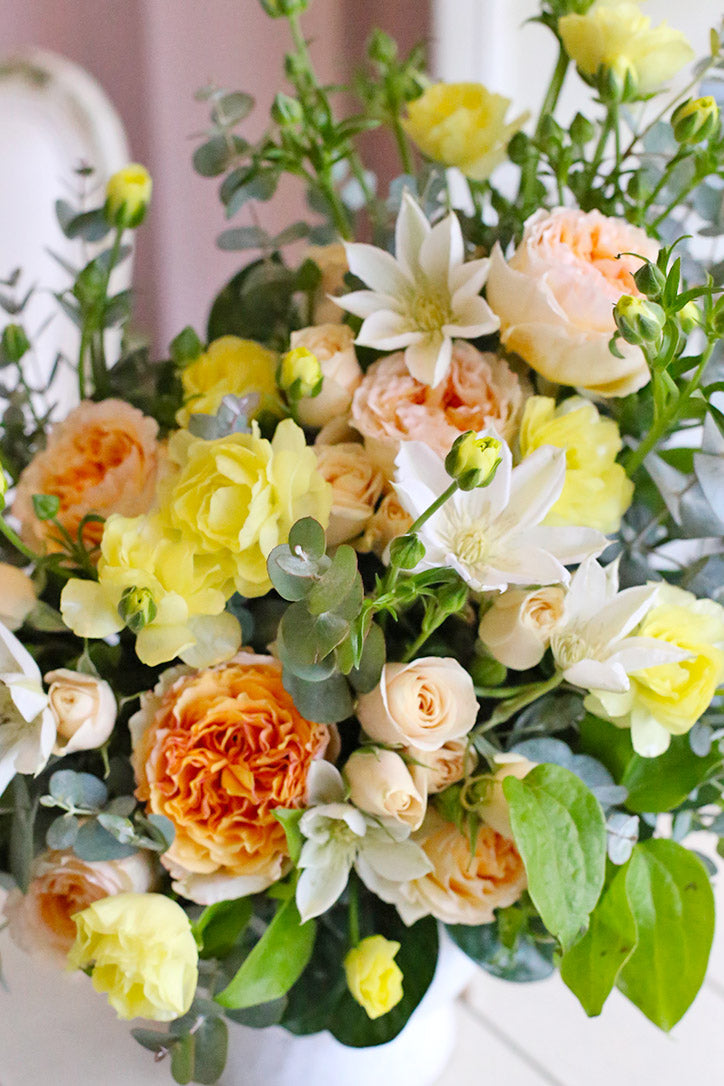 Gentle Spring Morning