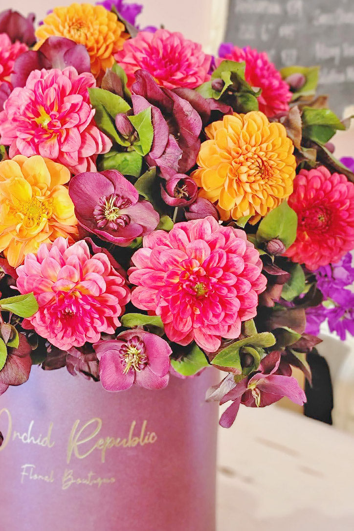 Close-up of pink and coral dahlias, burgundy hellebores and purple stock