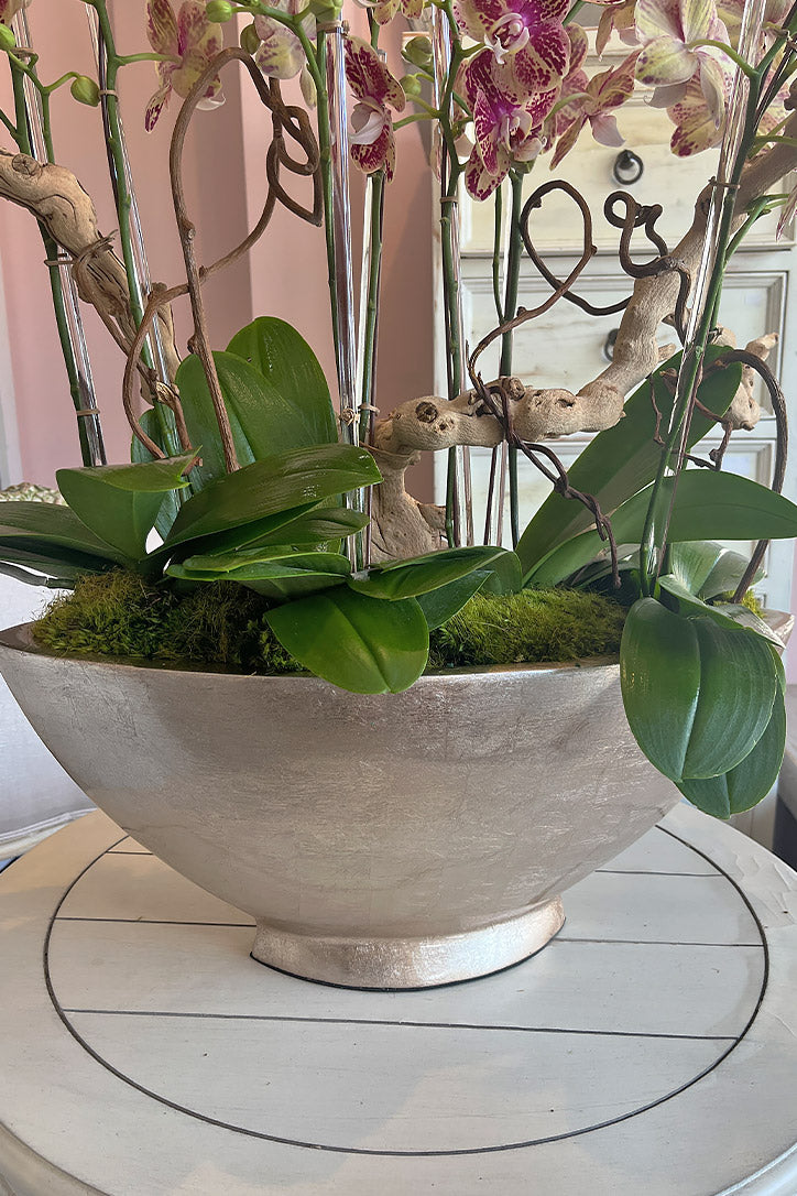 Gold vessel with moss, sculpted wood, curling kiwi vines and clear stem supports