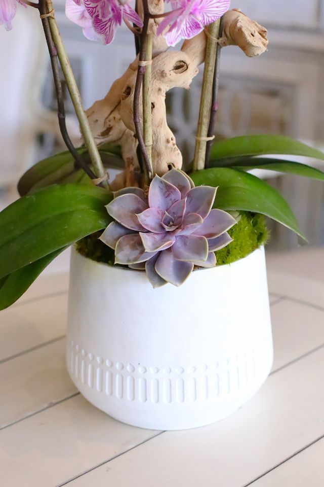 White ceramic vase with moss, succulent, natural wood and baby pink orchid stems