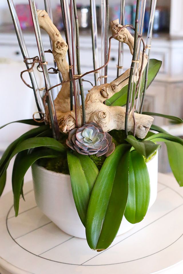 White ceramic vase with moss, orchid leaves, a plump succulent and natural wood accent