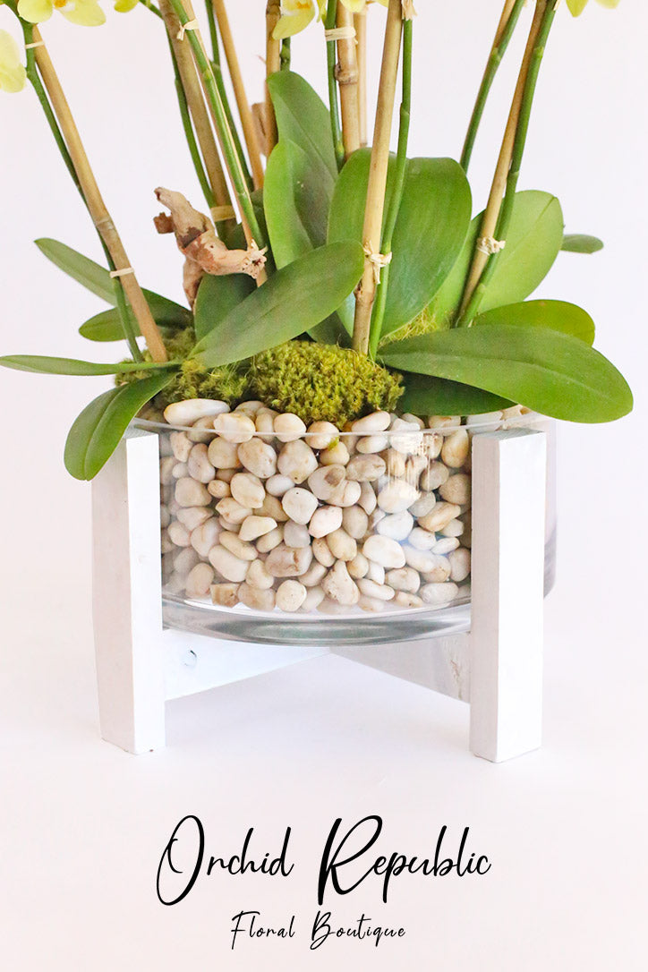 Cylindrical glass vase with fresh moss, real pebbles and a custom orchid holder
