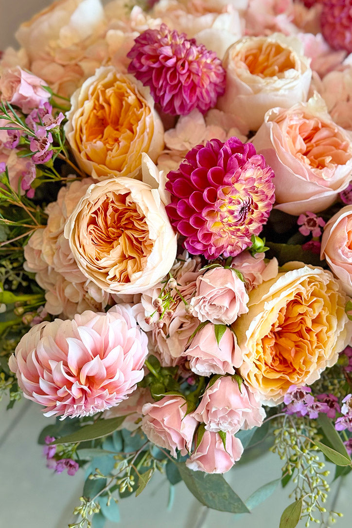 Close-up of blush and bright pink dahlias, garden roses and peach spray roses