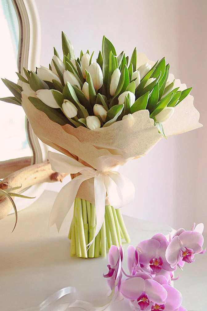 Bouquet of white tulips with green leaves on a light background orchid republic
